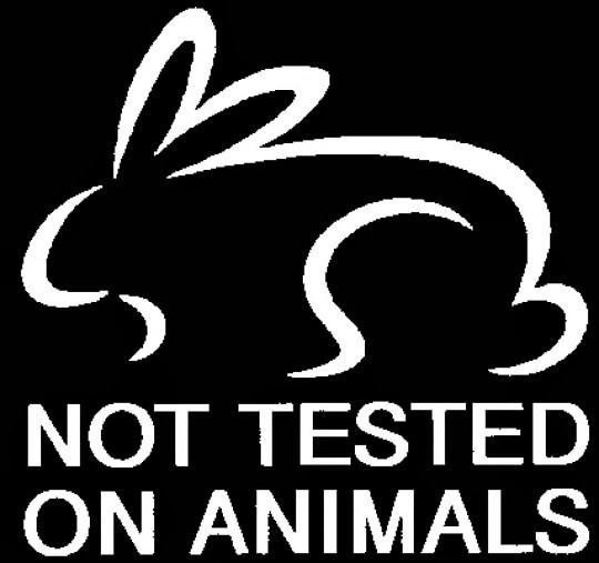 15 Makeup Brands that Don't Test on Animals + Alternatives to Animal Testing  – Vanitynoapologies | Indian Makeup and Beauty Blog